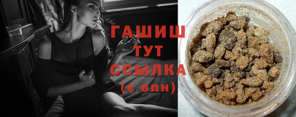 сатива Балахна