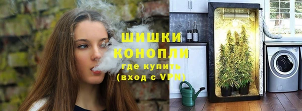 сатива Балахна